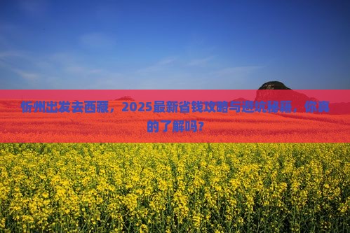忻州去西藏门票
