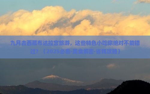 九月到西藏布达拉宫旅游小吃