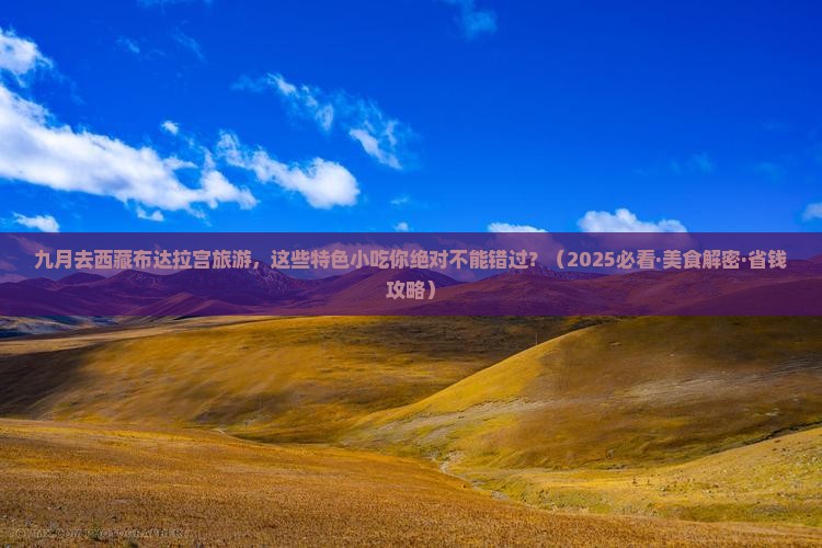 九月到西藏布达拉宫旅游小吃