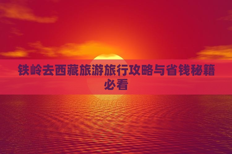 铁岭去西藏旅行社