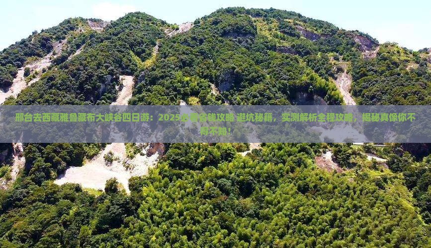 邢台去西藏雅鲁藏布大峡谷四日游