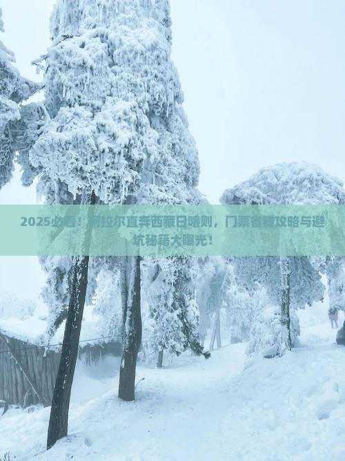 阿拉尔去西藏日喀则门票