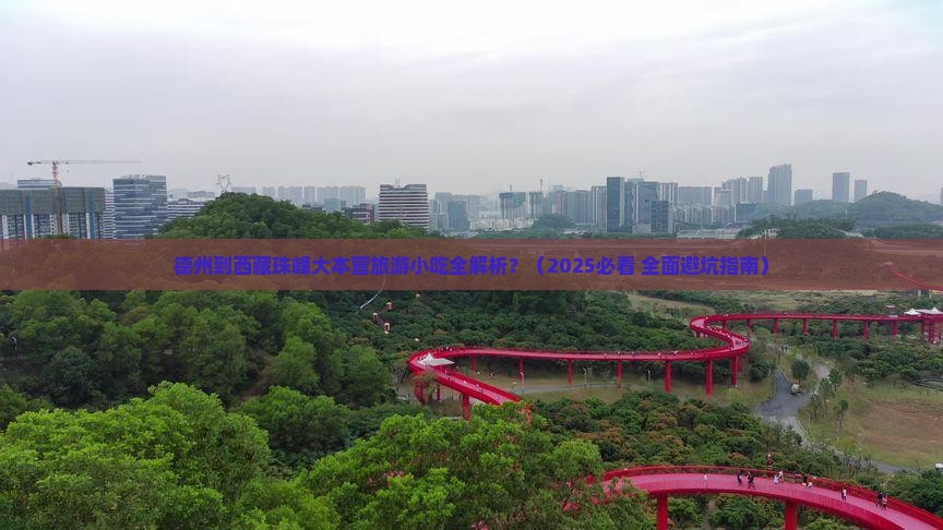 德州到西藏珠峰大本营旅游小吃