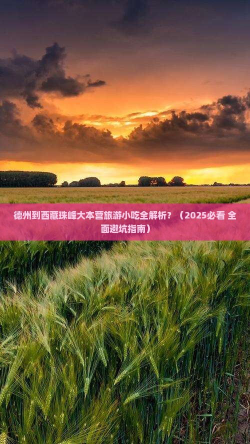德州到西藏珠峰大本营旅游小吃