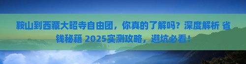 鞍山到西藏大昭寺自由团