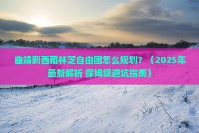 曲靖到西藏林芝自由团