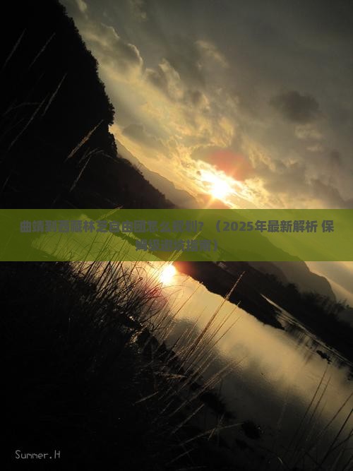曲靖到西藏林芝自由团