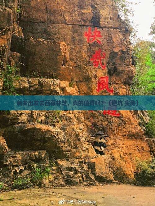 新乡去西藏林芝个人游