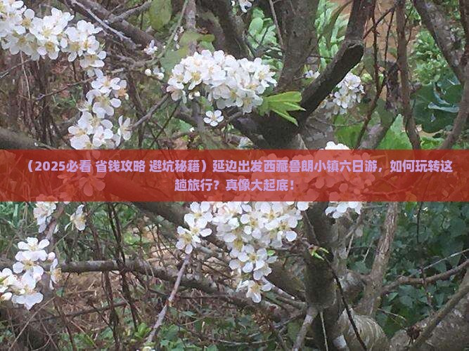 延边去西藏鲁朗小镇六日游