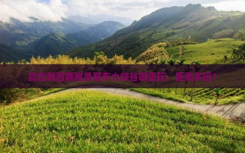 昌吉到西藏雅鲁藏布大峡谷哪里玩