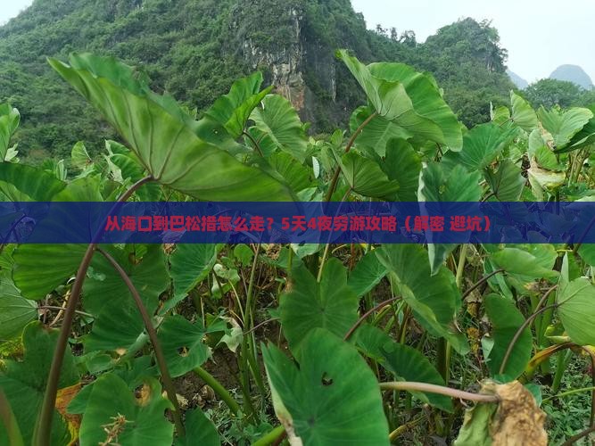 海南省直辖到西藏巴松措攻略