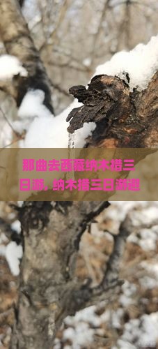 那曲去西藏纳木措三日游