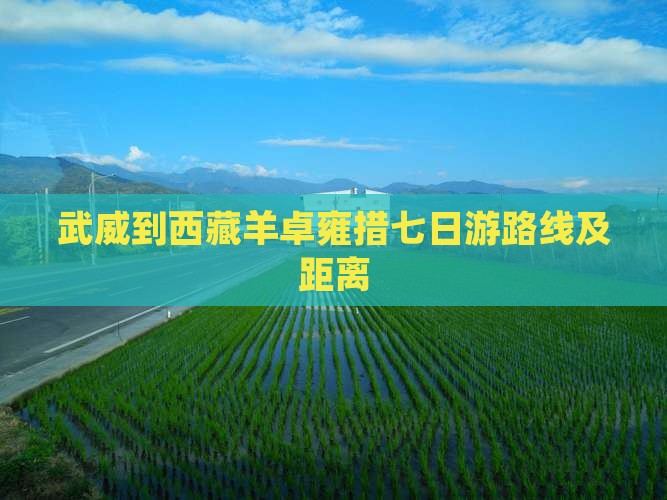 武威到西藏羊卓雍措七日游