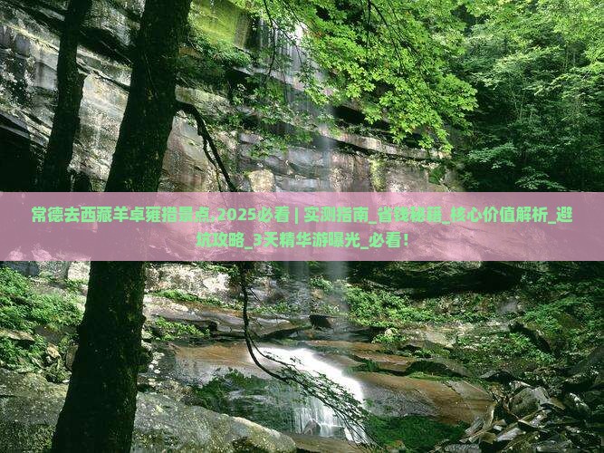 常德去西藏羊卓雍措景点