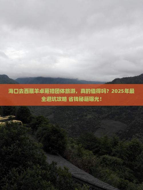 海口去西藏羊卓雍措团体旅游