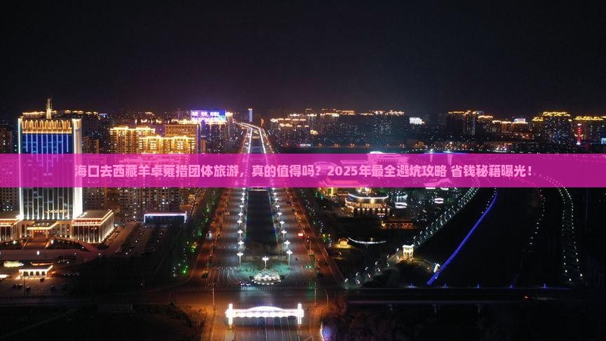 海口去西藏羊卓雍措团体旅游
