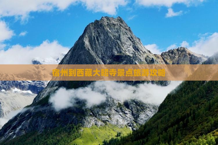 宿州到西藏大昭寺团体旅游