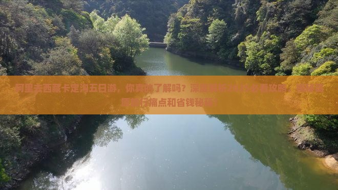 阿里去西藏卡定沟五日游