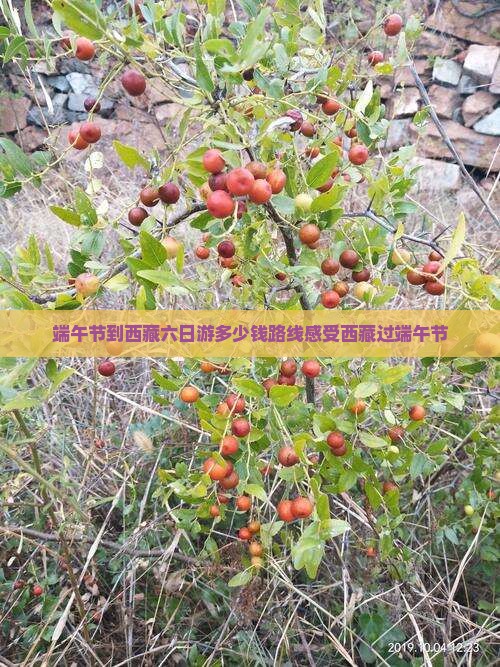 端午节到西藏六日游