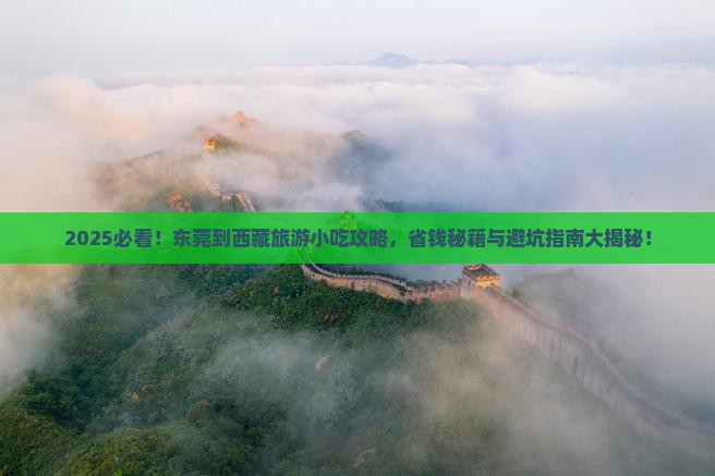 东莞到西藏旅游小吃