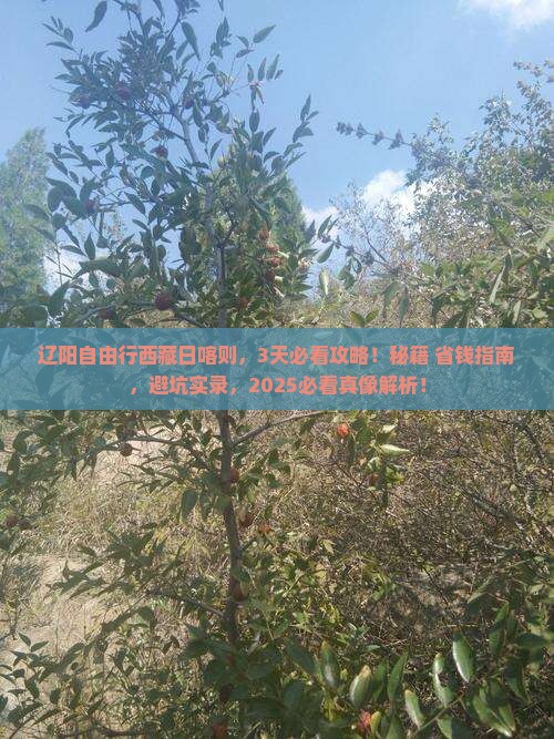 辽阳去西藏日喀则自由行