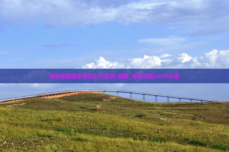 仙桃去西藏色季拉山六日游