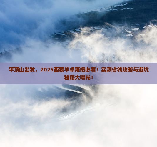 平顶山去西藏羊卓雍措攻略