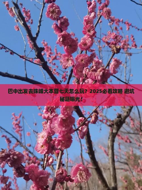 巴中到西藏珠峰大本营七日游