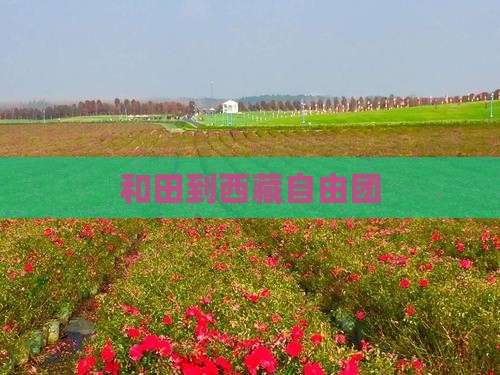 和田到西藏自由团