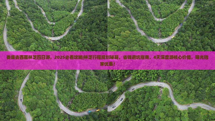娄底去西藏林芝四日游