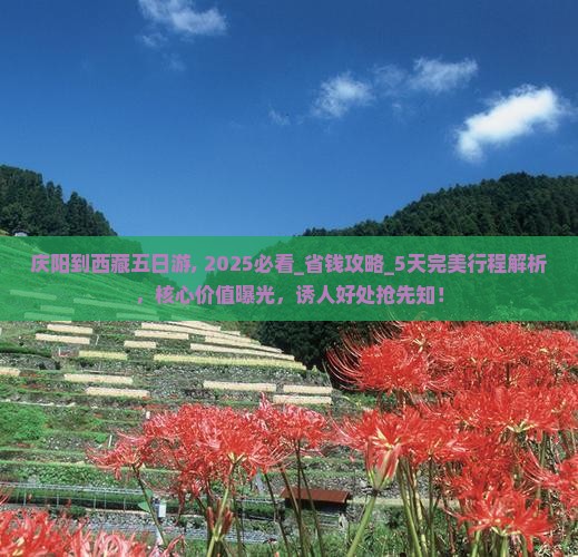 庆阳到西藏五日游