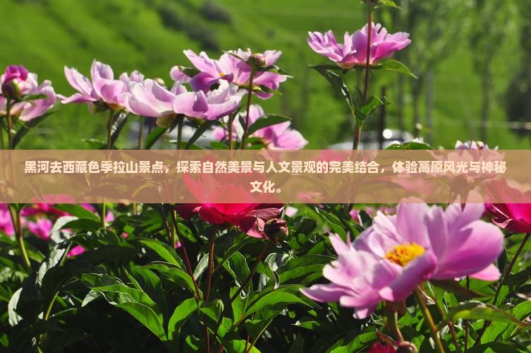 黑河去西藏色季拉山景点 黑河去西藏色季拉山景点