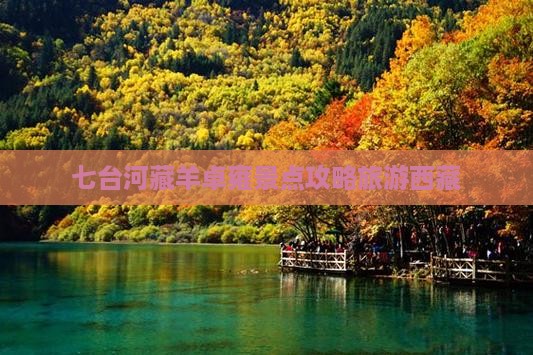 七台河去西藏羊卓雍措旅游