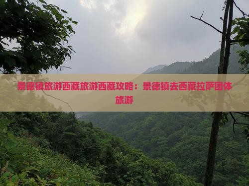 景德镇去西藏拉萨团体旅游