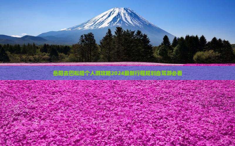 岳阳去西藏巴松措个人游