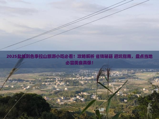 盐城到西藏色季拉山旅游小吃