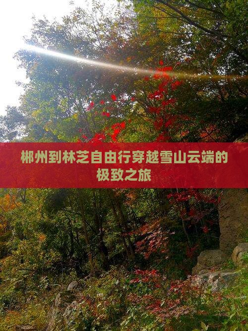 郴州到西藏林芝自由行