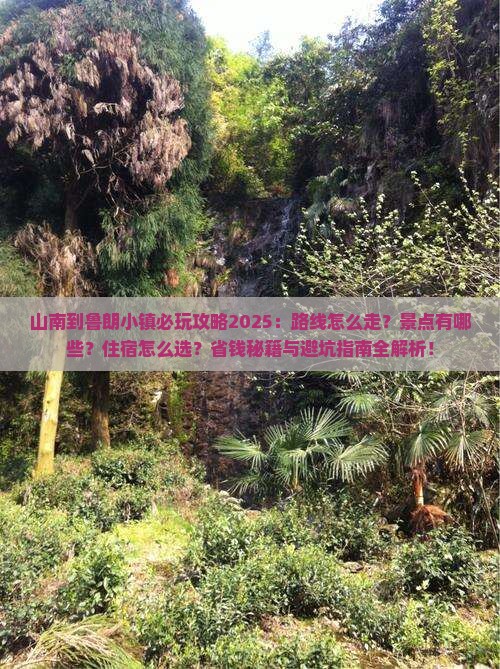 山南到西藏鲁朗小镇哪里玩