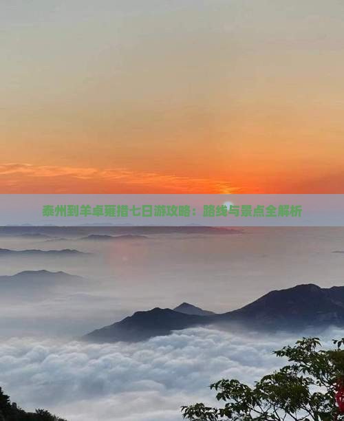 泰州到西藏羊卓雍措七日游