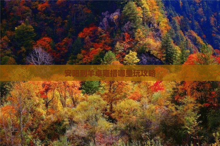 安阳到西藏羊卓雍措哪里玩