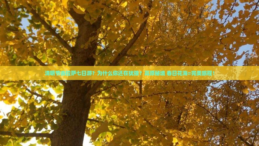 清明节去西藏拉萨七日游