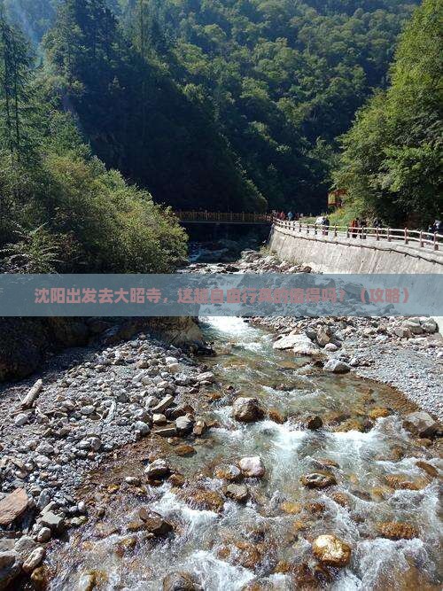 沈阳去西藏大昭寺自由行