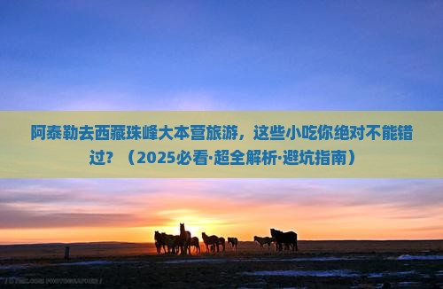 阿泰勒去西藏珠峰大本营旅游小吃