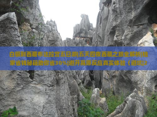 白银到西藏布达拉宫五日游