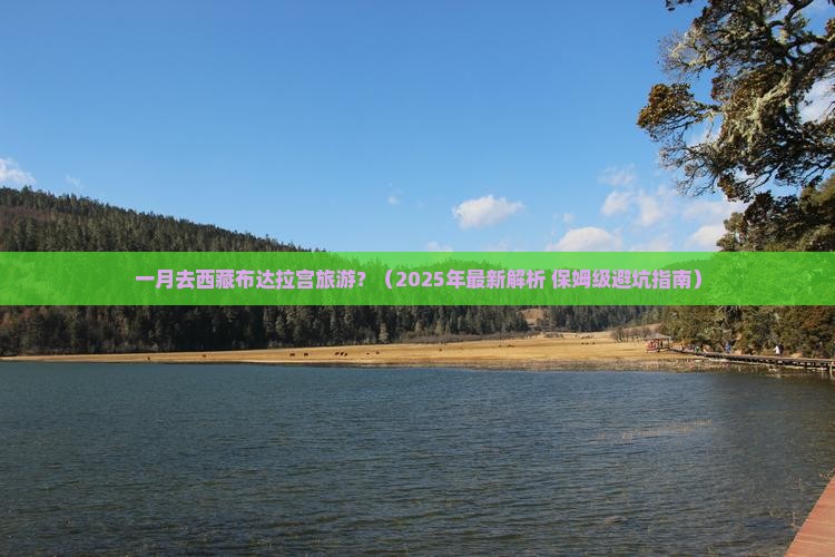一月到西藏布达拉宫旅行社