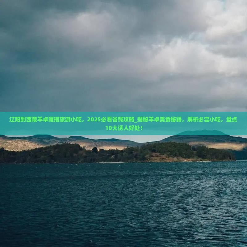 辽阳到西藏羊卓雍措旅游小吃