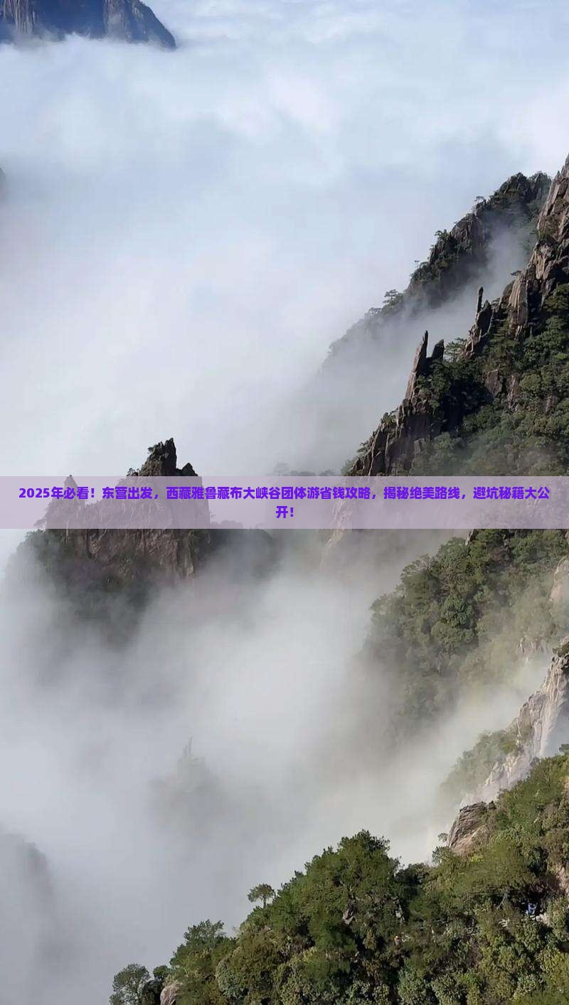 东营到西藏雅鲁藏布大峡谷团体旅游