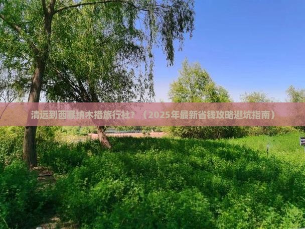 清远到西藏纳木措旅行社