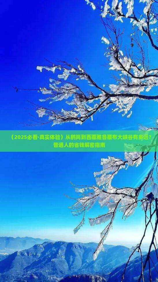 鹤岗到西藏雅鲁藏布大峡谷景点