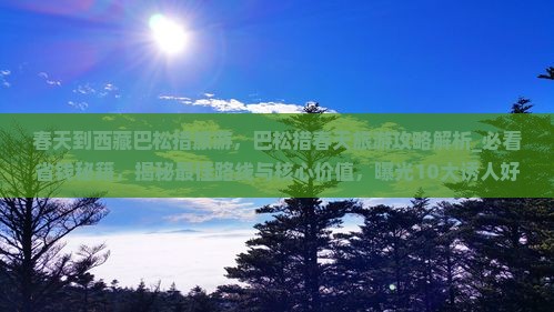 春天到西藏巴松措旅游